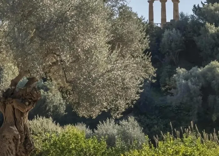 Apartment Girgenti Charming House *